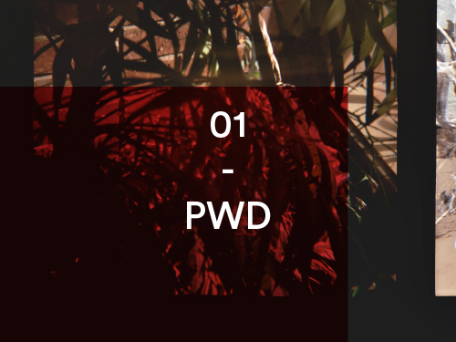 01 – PWD