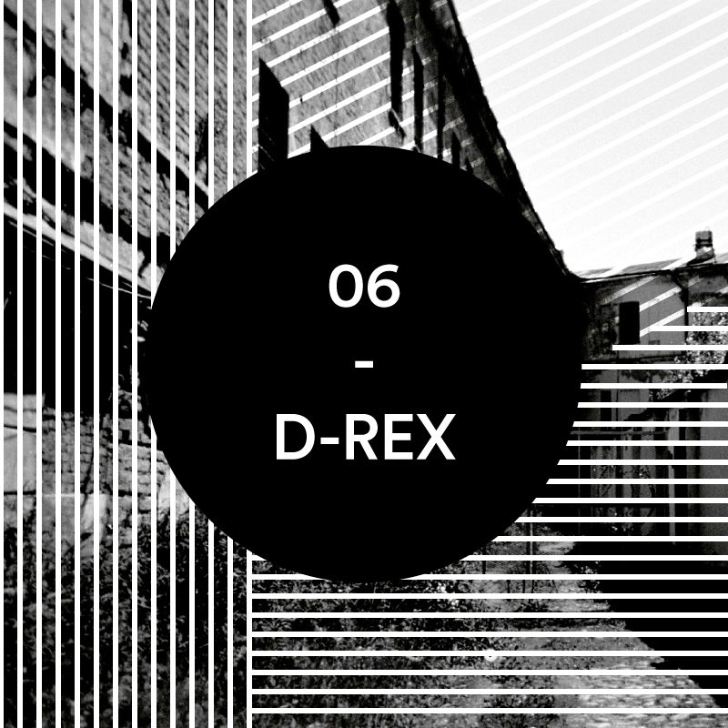 06 – D-REX