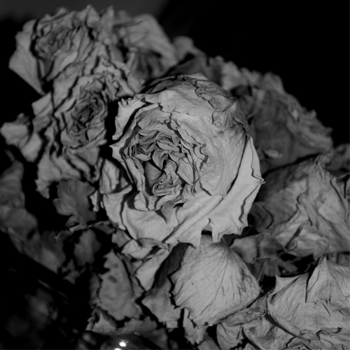 Sciahri returns to Black Opal with latest EP