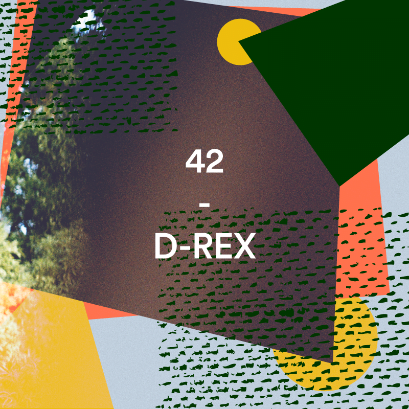 42 – D-REX