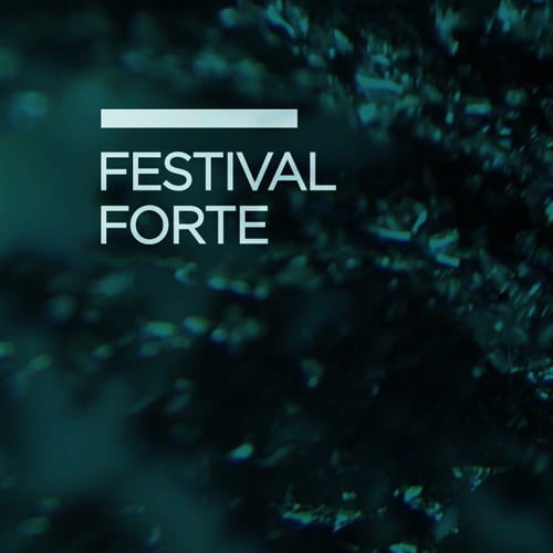 Festival Forte announces new additions to its 2019 lineup