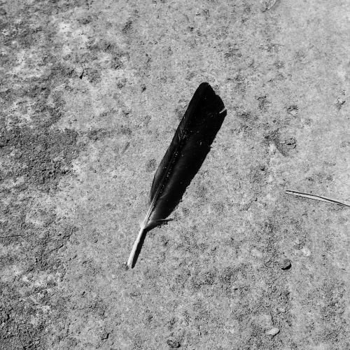 Function reveals sophomore album on Tresor