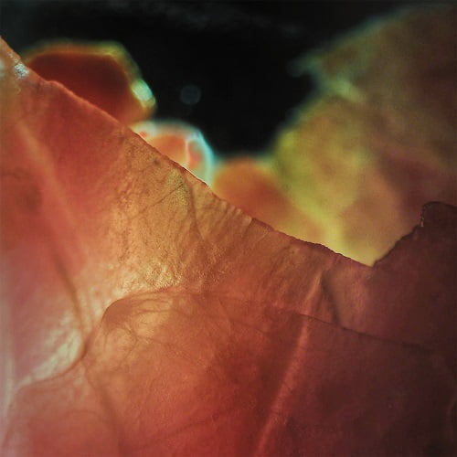 SPFDJ’s Intrepid Skin reveals Marcus L EP feat. Hadone Remix